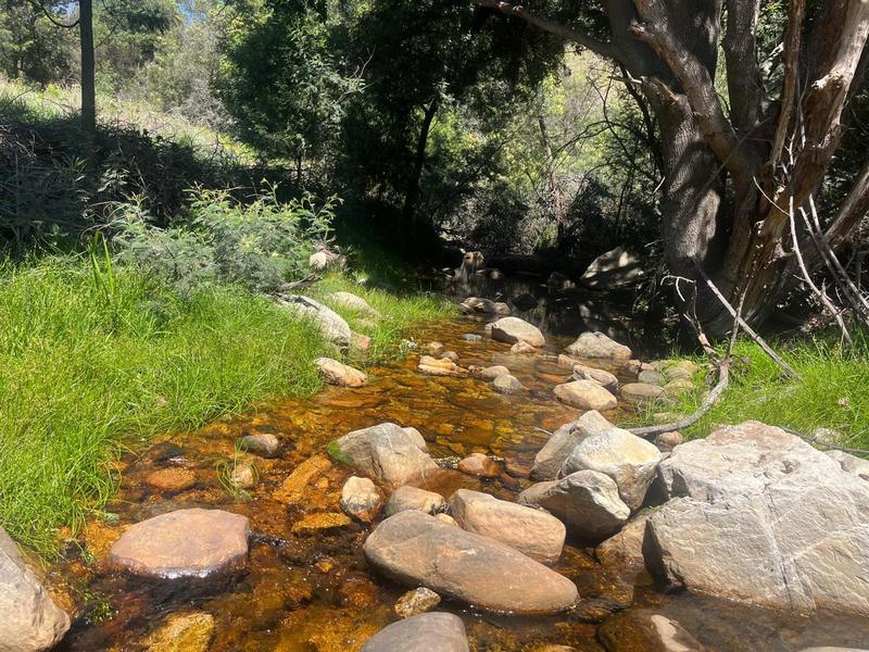 0 Bedroom Property for Sale in George Rural Western Cape